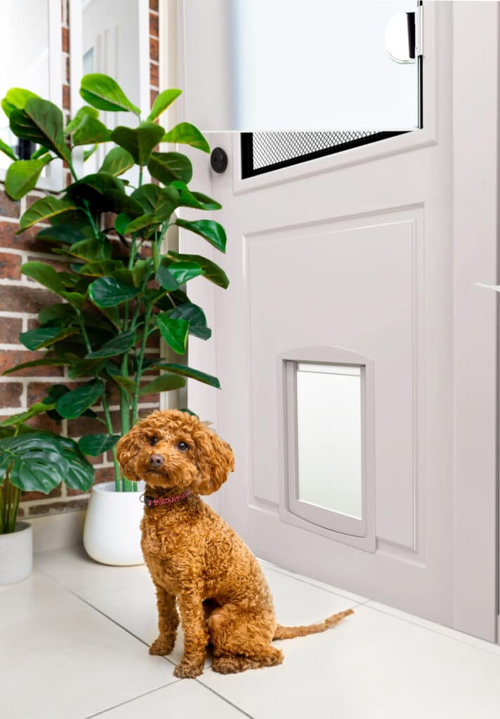 Doors Plus - Pet Door - Brown dog